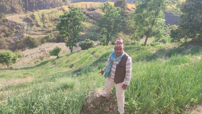 डोटीमा प्याजखेतीप्रति बढ्दो आकर्षण