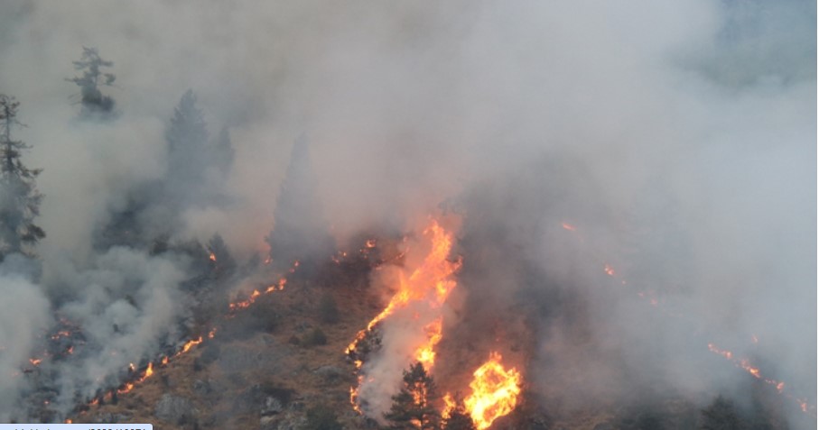 देशका विभिन्न ठाउँमा लागेको डढेलोले बढायो वायु प्रदूषण