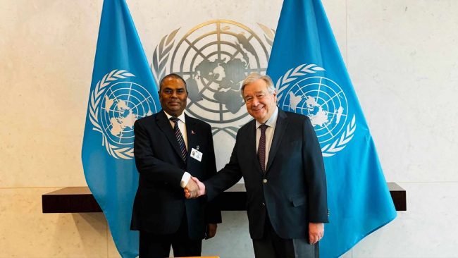 विकासका उपलब्धि जोगाउन सार्थक सहयोगका लागि उपप्रमको जोड