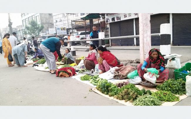 अर्गानिक तरकारी खेतीमा रमाउँदै बाँके र बर्दियाका थारु महिला