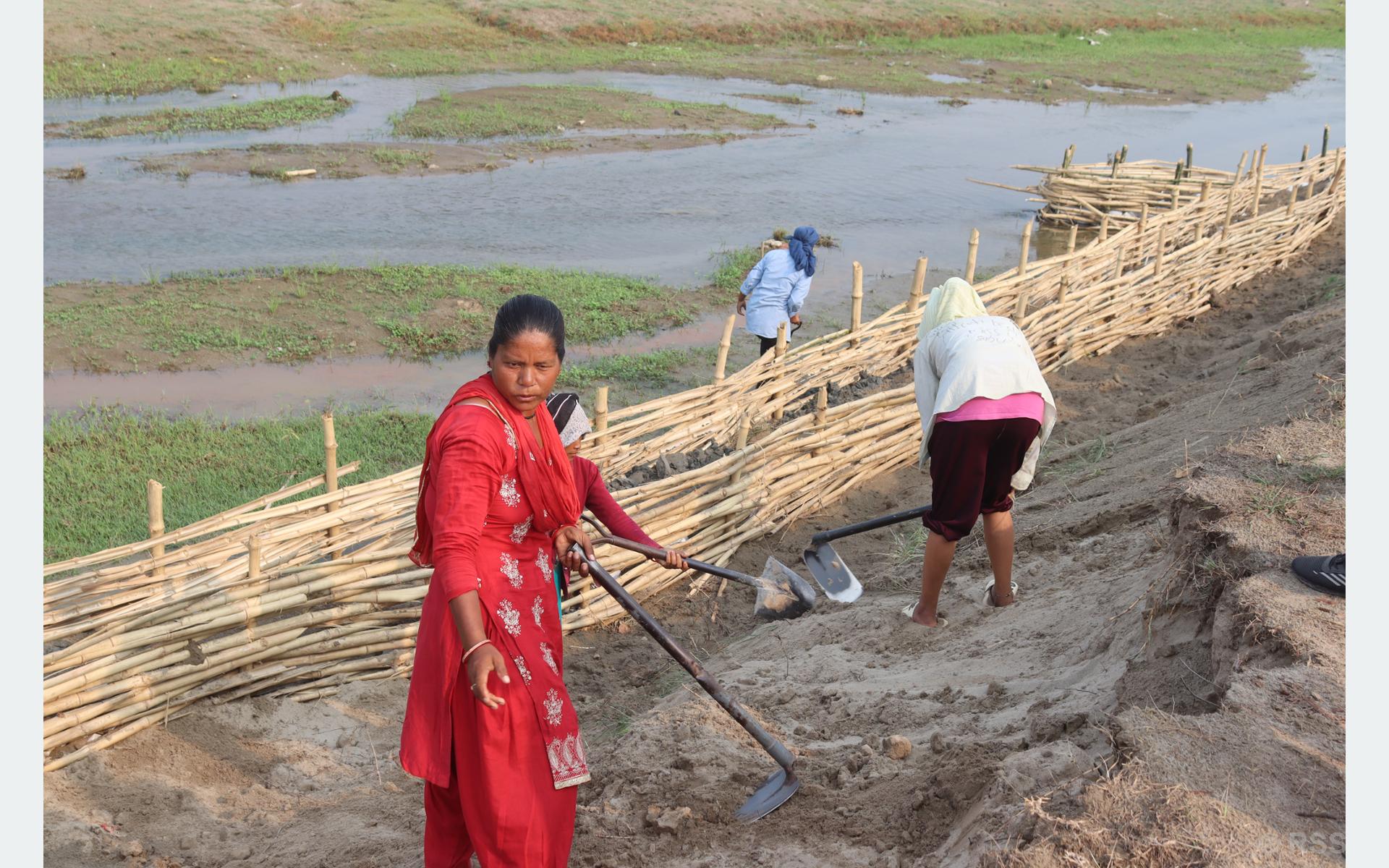 भूक्षय नियन्त्रणमा जैविक तटबन्ध प्रभावकारी