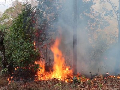 वन जोगाउन भोजपुरमा डढेलो नियन्त्रण अभियान सञ्चालन