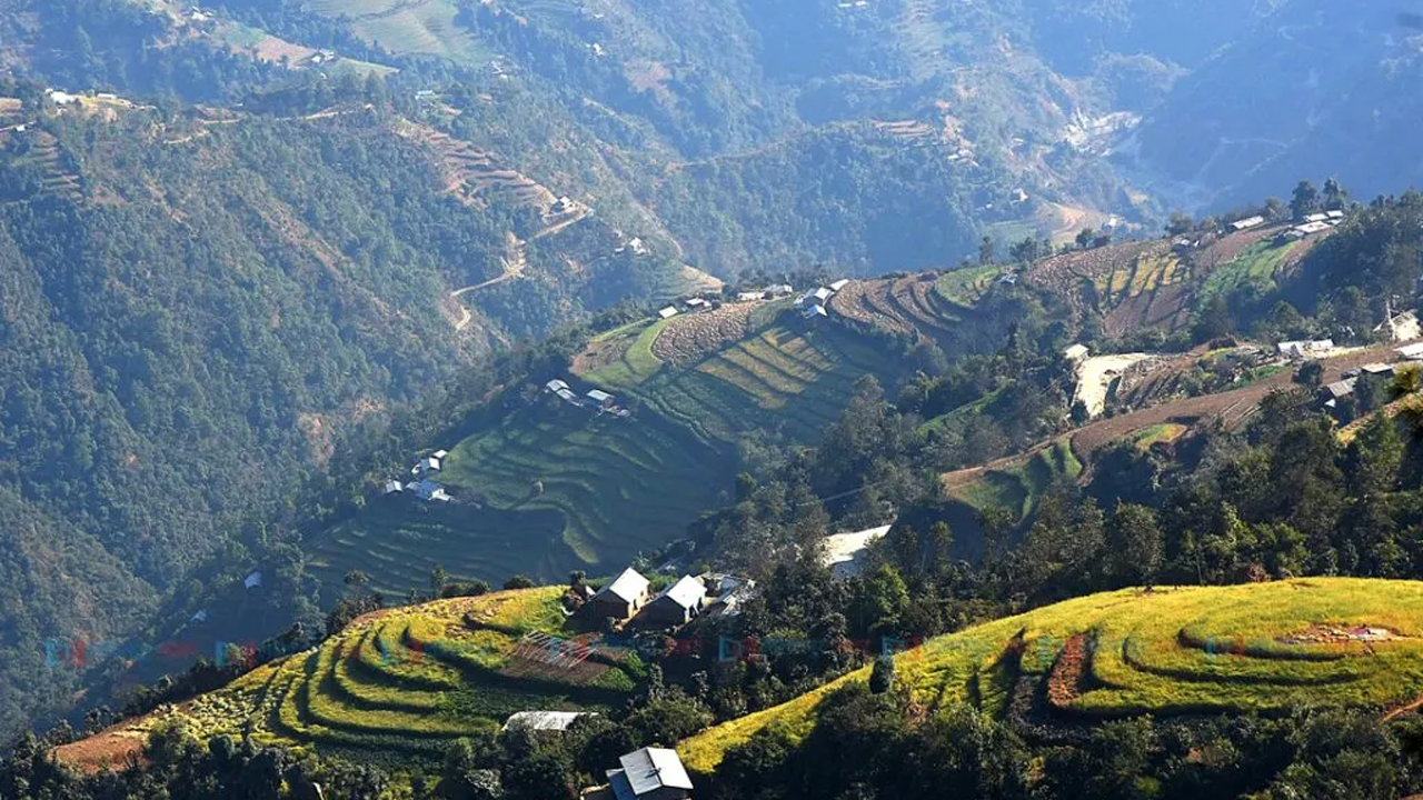 जापानको सहयोगमा ‘भट्टेडाँडा सडकमा हरियाली अभियान’