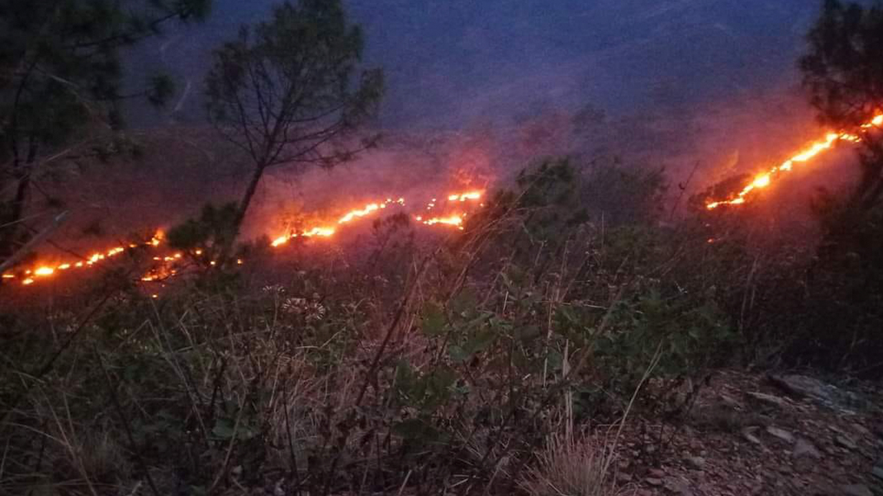 रामेछापको चार हजार पाँच सय हेक्टर वन सखाप