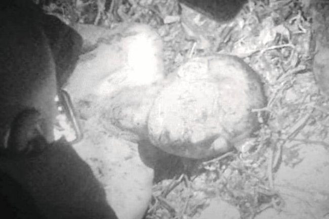 ट्राफिक प्रहरी जवान हत्या  प्रकरण :  ६ जना पक्राउ