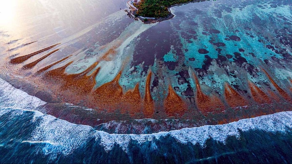हिन्द महासागरमा ‘तातो दिन’ १० गुणा बढ्ने, माल्दिभ्ससहित ४० देशका लागि खतरा