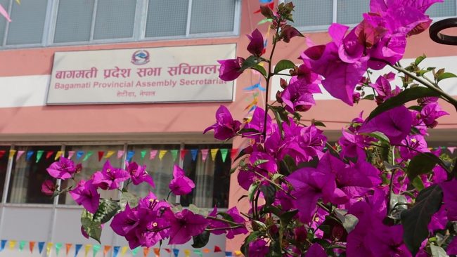 बागमतीमा संसदीय समितिहरूको नेतृत्व चयनका लागि आज मनोनयन दर्ता