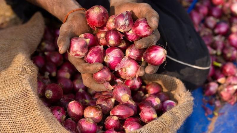 भारतले प्याज निर्यातमा लगाएको प्रतिबन्ध हटायो