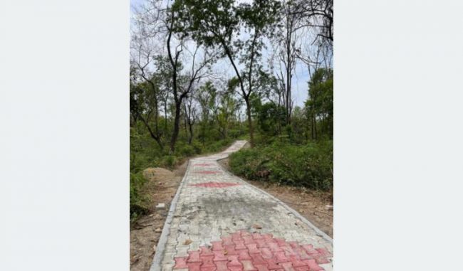 कैलालीको चिडिया तालसम्म पुग्न पदमार्ग निर्माण
