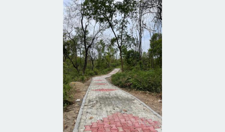 कैलालीको चिडिया तालसम्म पुग्न पदमार्ग निर्माण