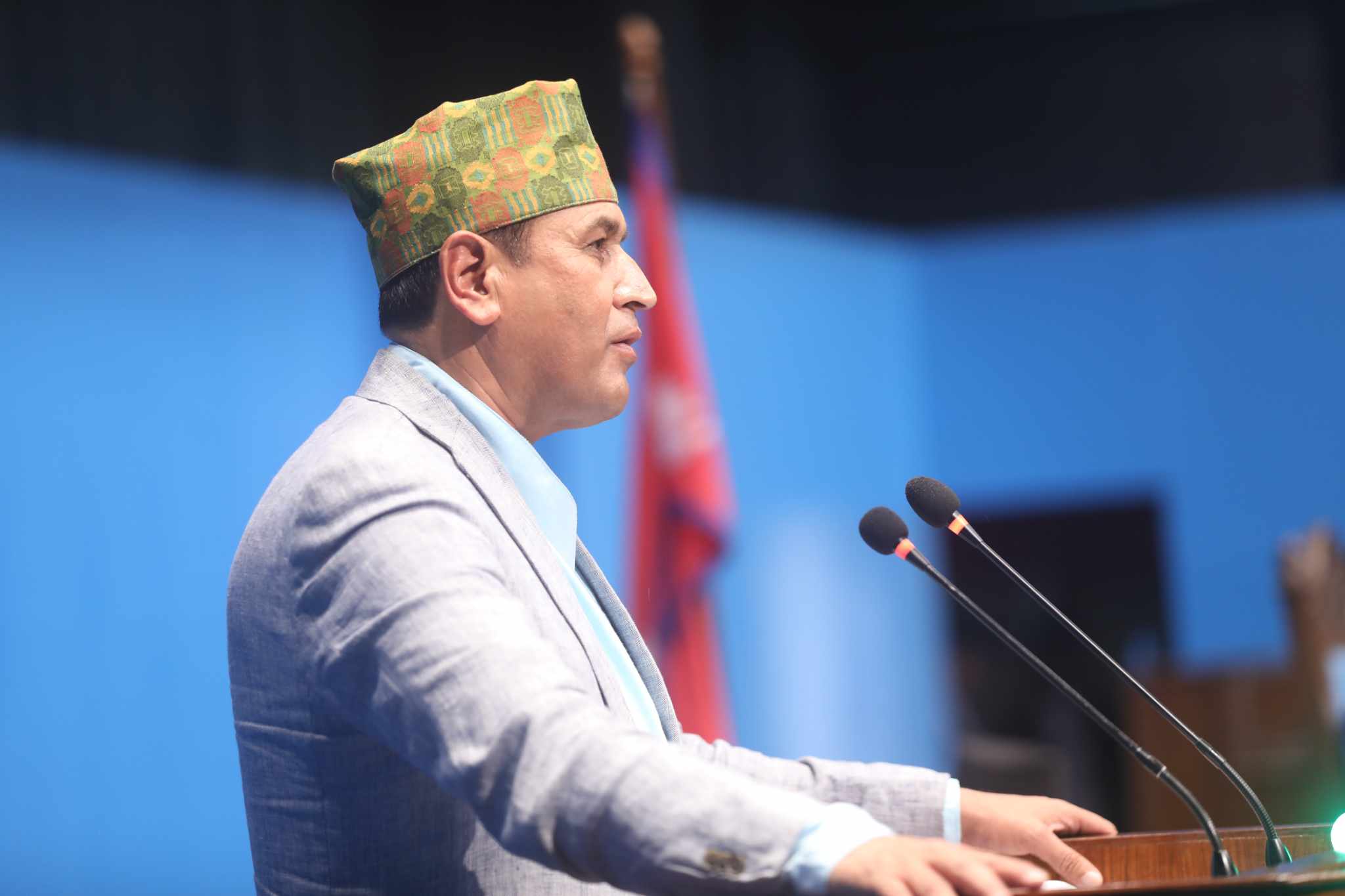 प्रतिनिधिसभा बैठक : विभिन्न शीर्षकमा खर्च कटौतीको प्रस्ताव प्रस्तुत