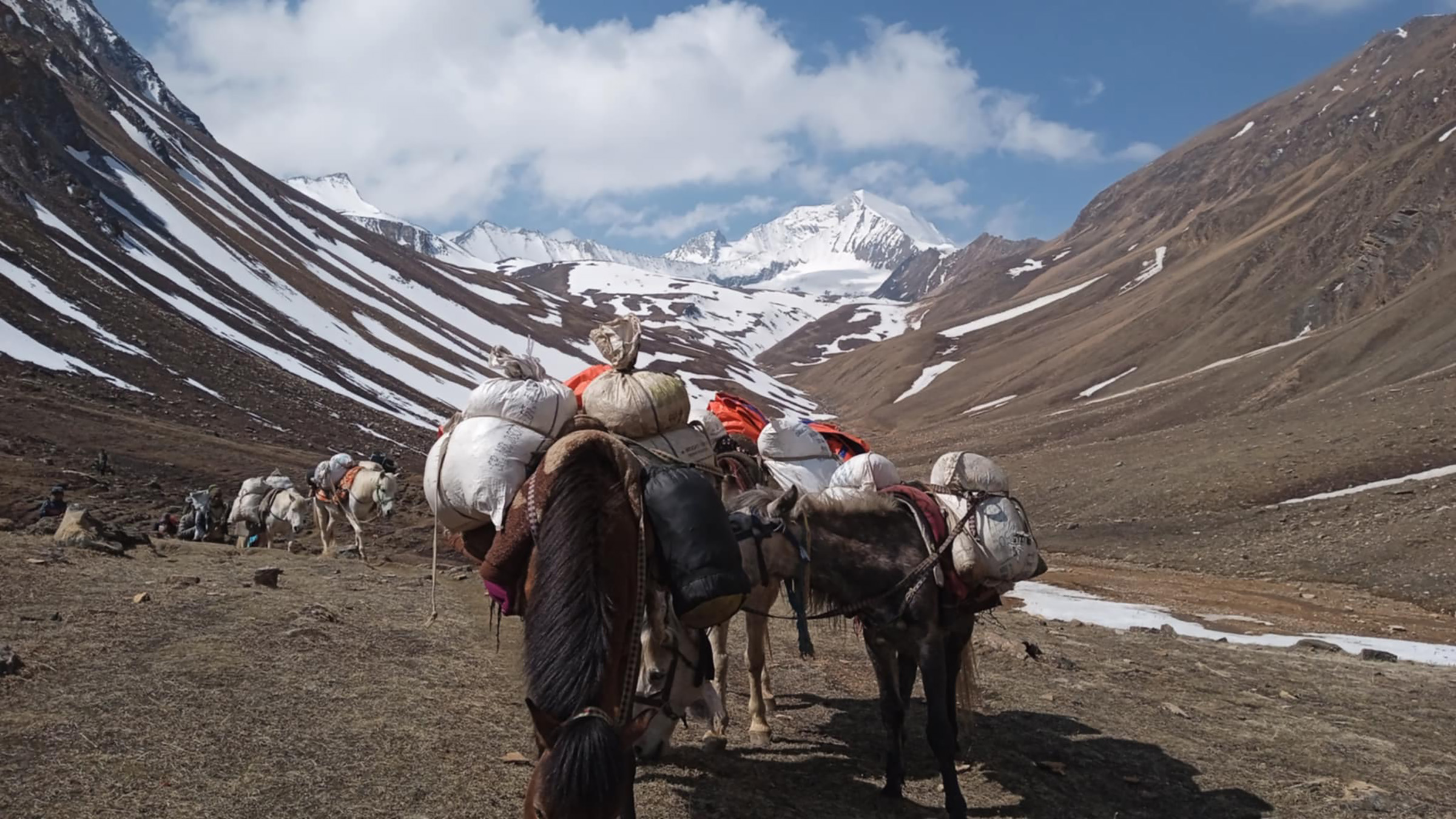 यार्सागुम्वा सङ्कलनका लागि फोक्सुण्डोतर्फ जाँदै स्थानीयवासी