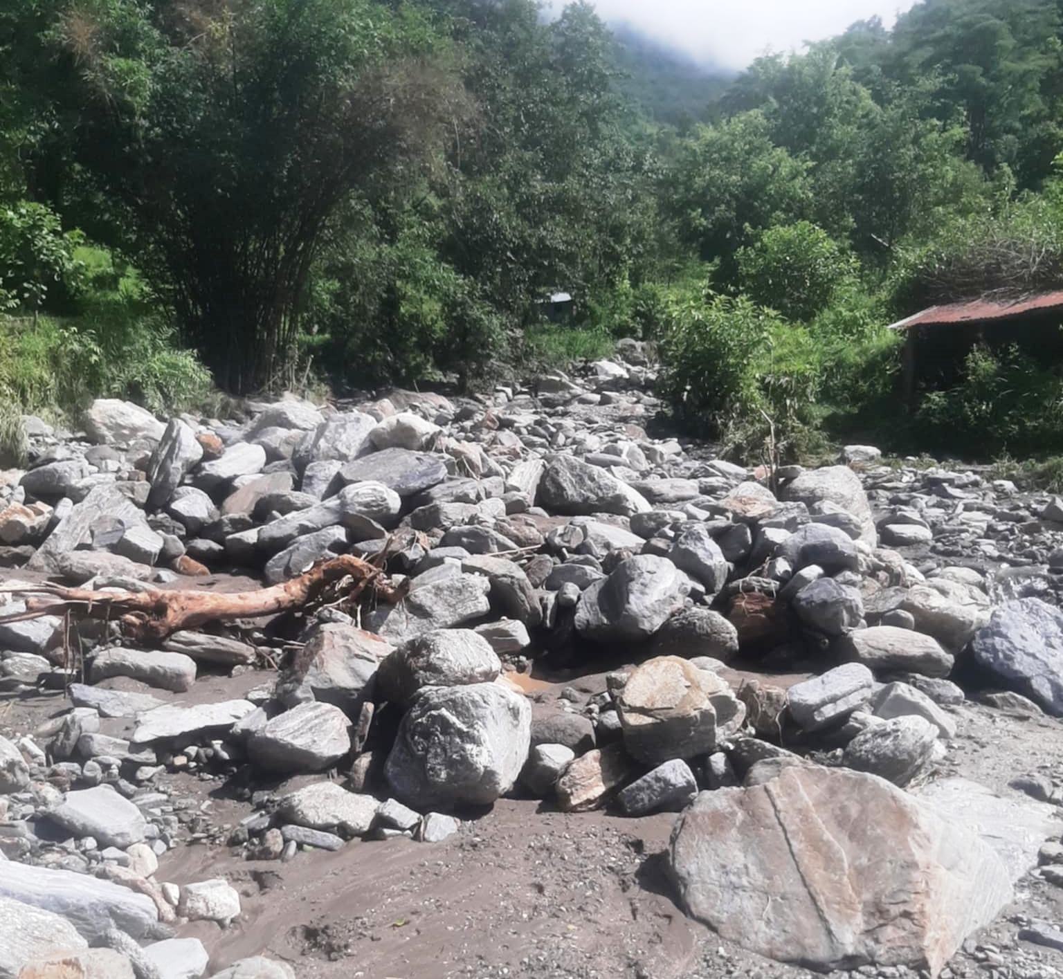 नुवाकोटको भद्रुटारका दर्जनौँ घरपरिवार बाढी र पहिरोको जोखिममा, सयौँ रोपनी धानखेतमा बाढी पस्यो