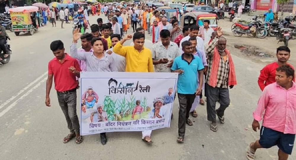 गरुडामा बाँदर आतंक, नियन्त्रणको माग गर्दै किसानद्वारा प्रदर्शन