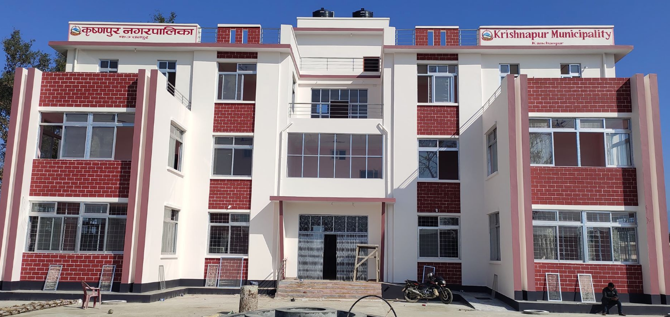 कृष्णपुर नगरपालिकाद्वारा मौरी विकास पकेट क्षेत्रमा लिचीका बिरुवा वितरण