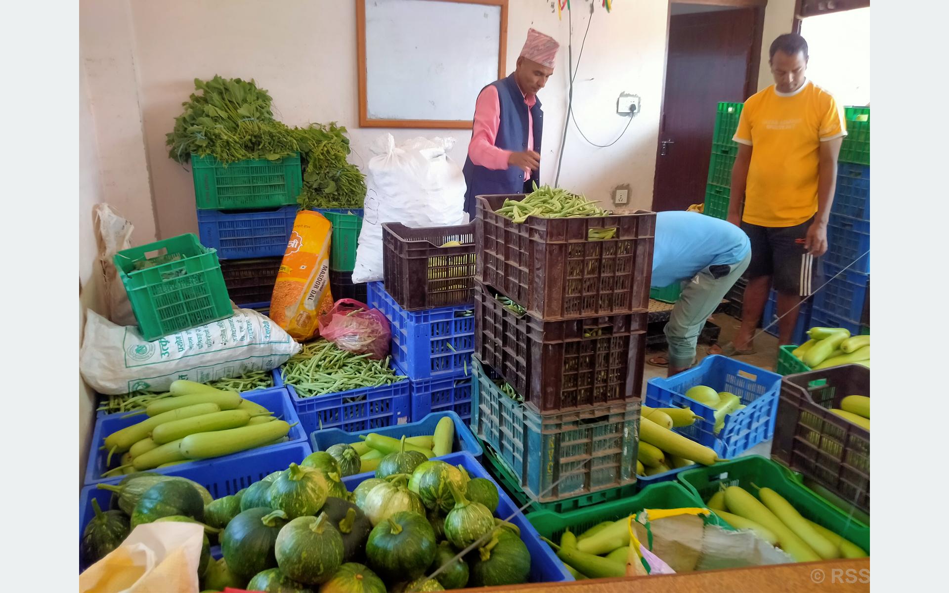 वालिङको कृषि सहकारीद्वारा ६७ लाखको सागसब्जी बिक्री