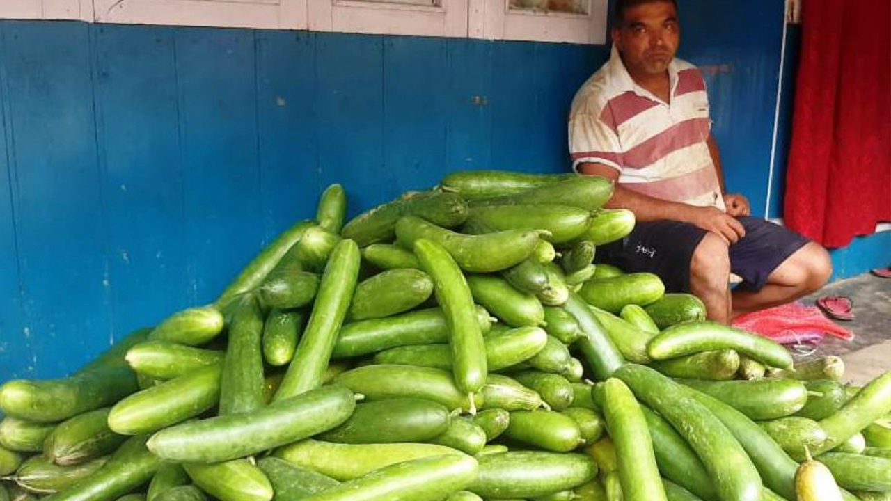 काँक्रोखेतीबाट मनग्य आम्दानी