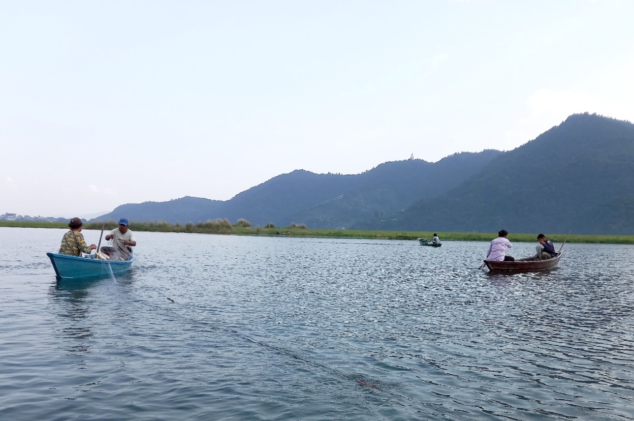 पोखराका तालहरूमा ५३ प्रजातिका जलपक्षी