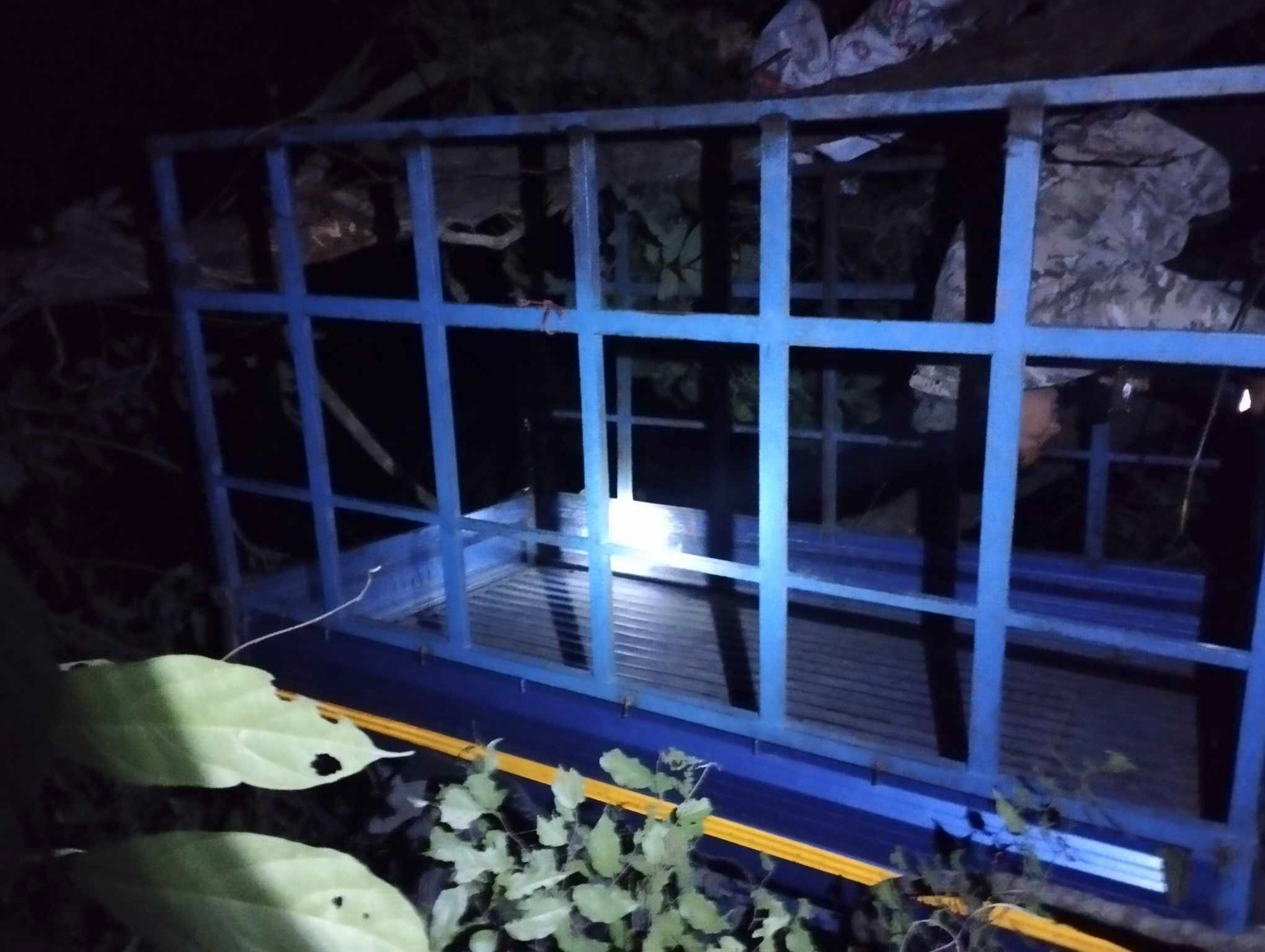 स्याङ्जामा पिकअप दुर्घटना हुँदा चालकको मृत्यु