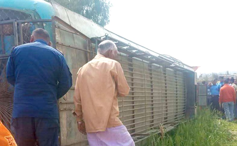 महोत्तरीमा बस दुर्घटना, १५ जना घाइते