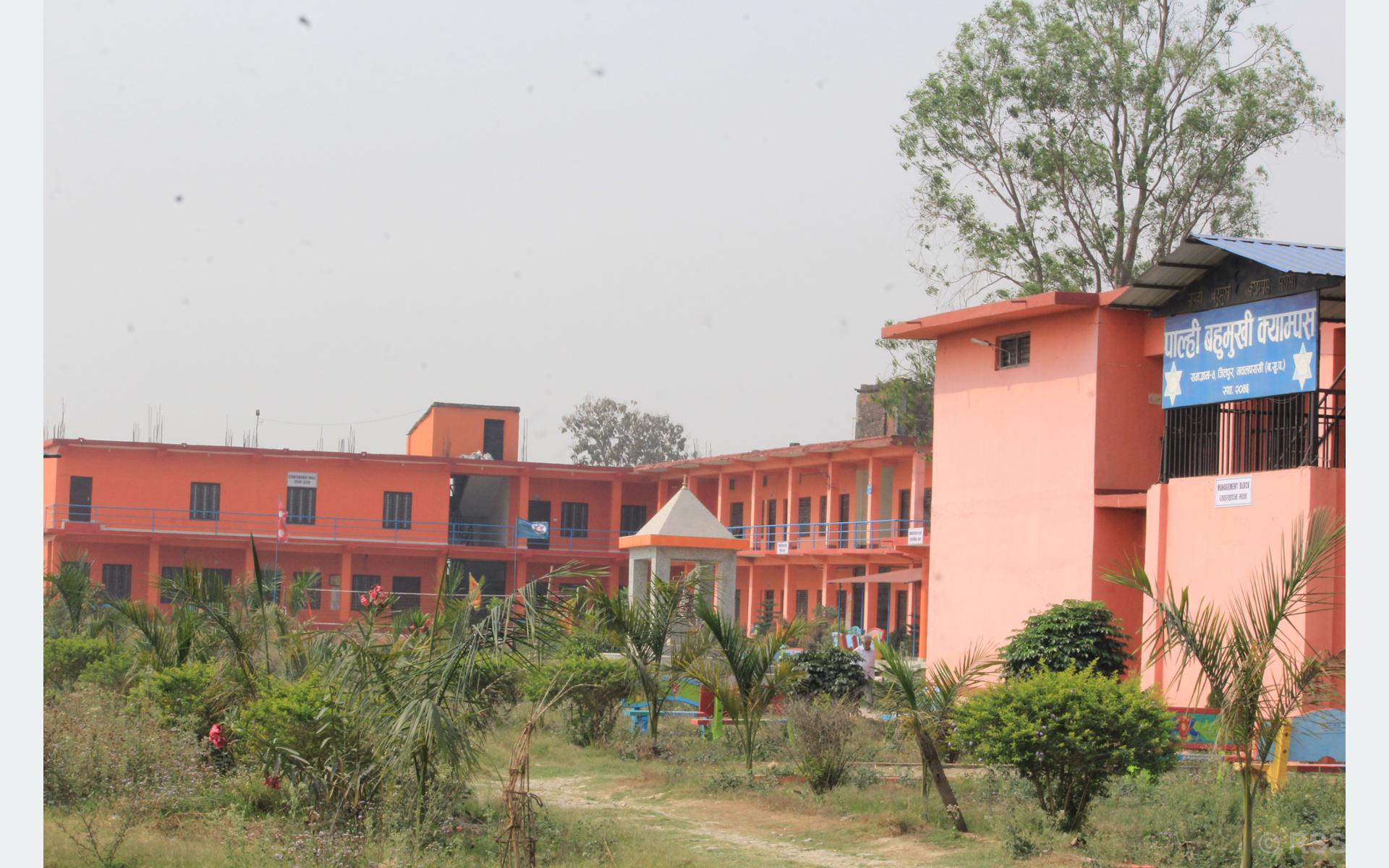 छोरीबुहारीले धानेको पाल्ही बहुमुखी क्याम्पस