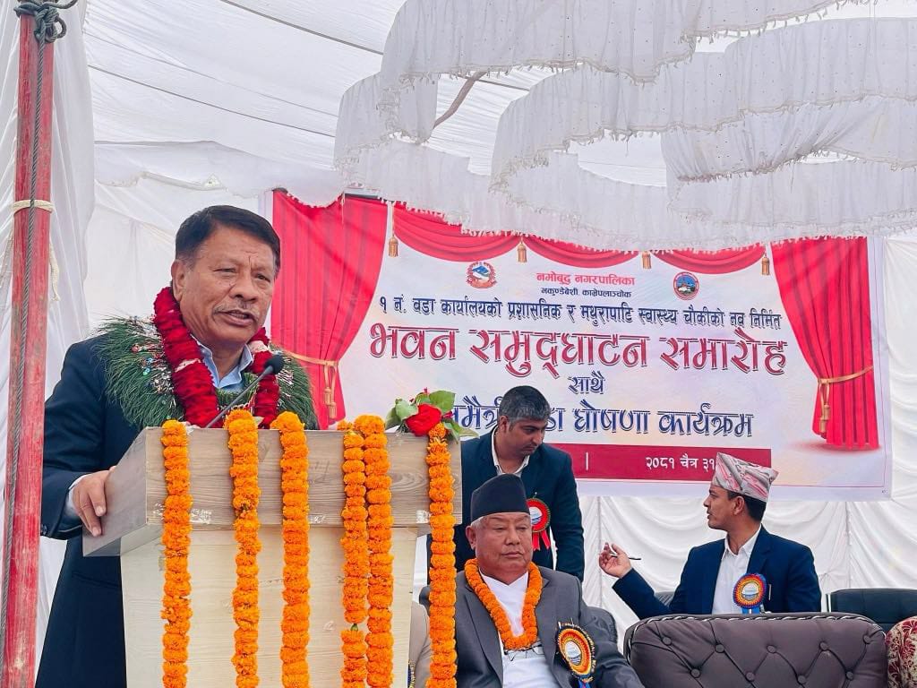 संविधान बाहिर जान सकिन्न, चित्त नबुझे संशोधन गर्न सकिन्छ : उपप्रधानमन्त्री सिंह