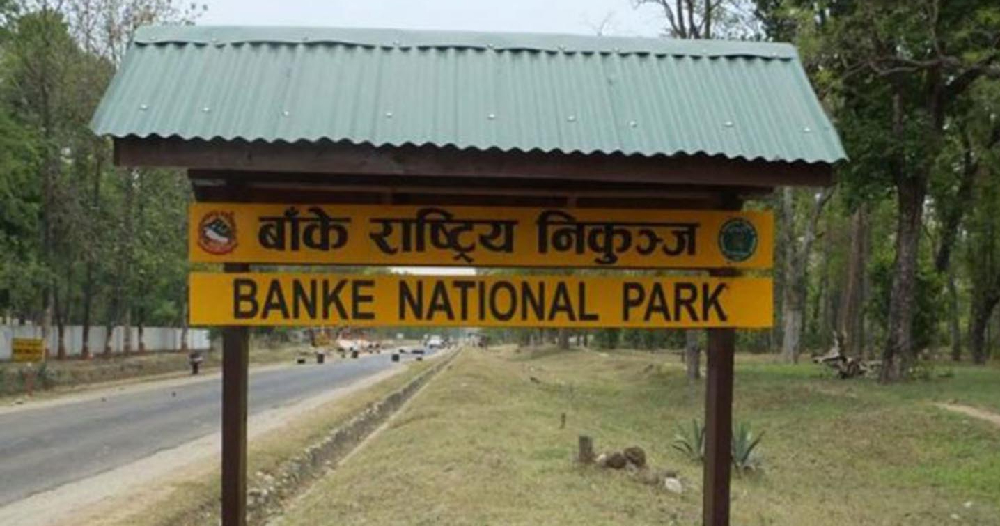 बाँके राष्ट्रिय निकुञ्जमा जंगल सफारी सुरु