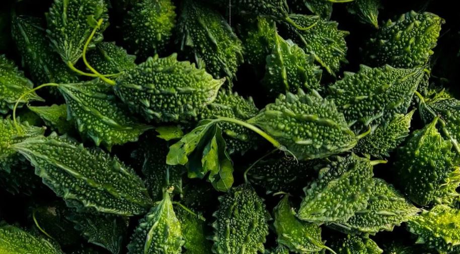 गर्मीको सुपर फुड करेला, झुक्किएर पनि नखानुहोस् यी चीजसँग