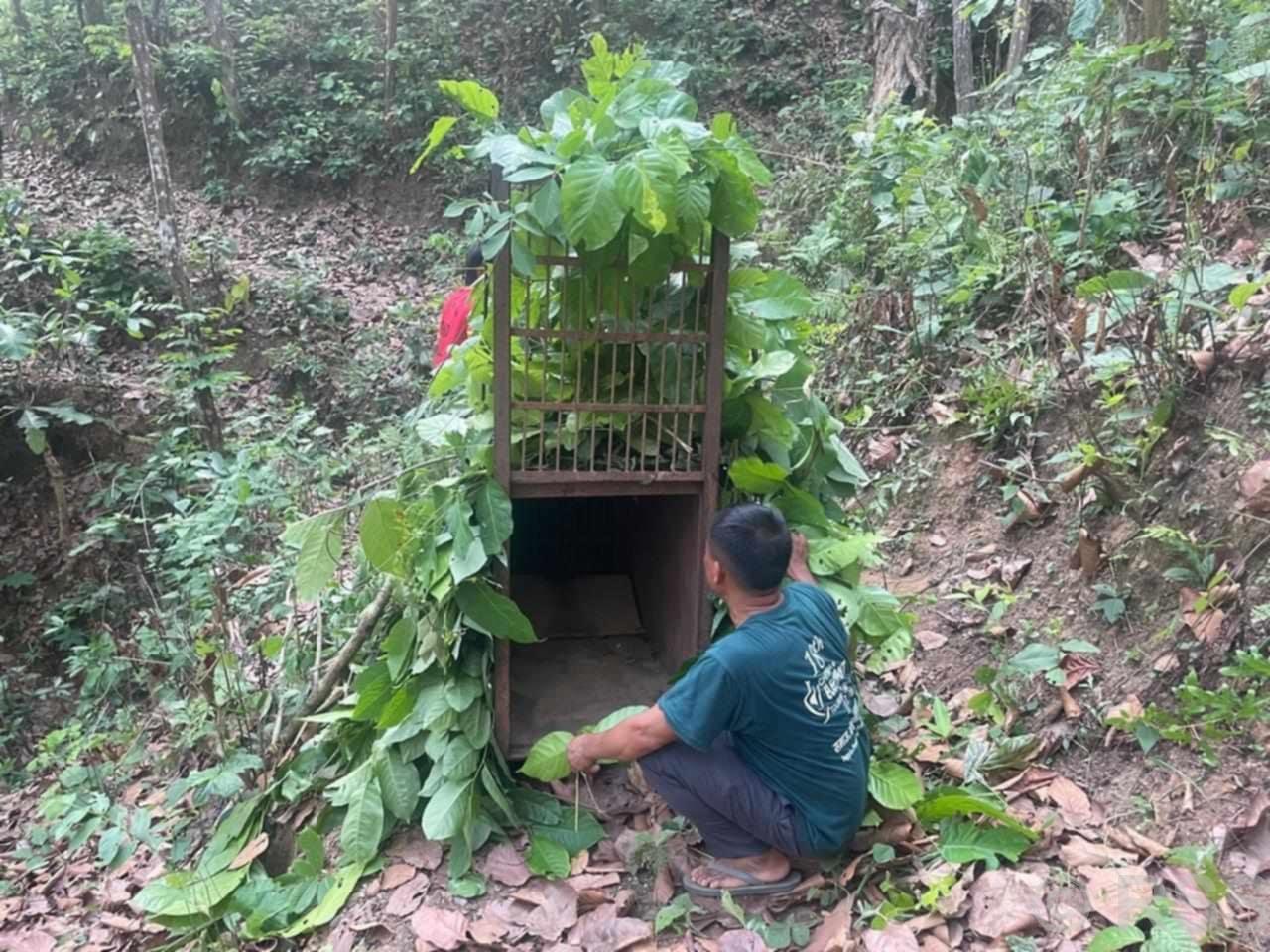 नरभक्षी चितुवा नियन्त्रणमा आएन
