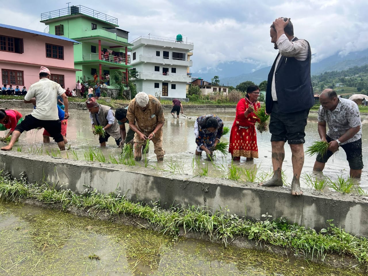 असार १५ संस्कृति र एकताको प्रतिक पनि हो : नेता केसी
