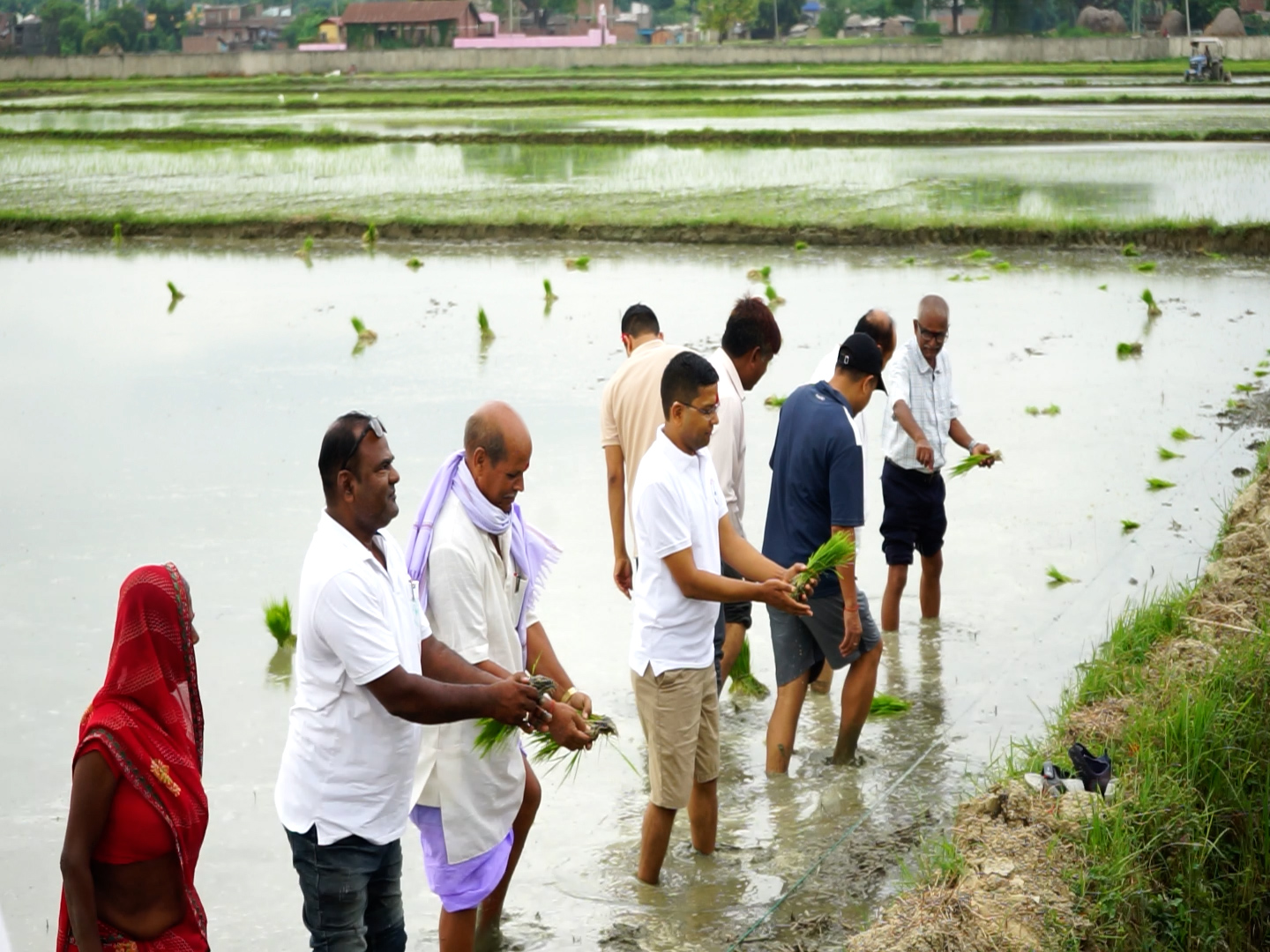 धनुषामा राष्ट्रिय धान दिवस मनाइयो, आयात रोक्नुपर्नेमा जोड