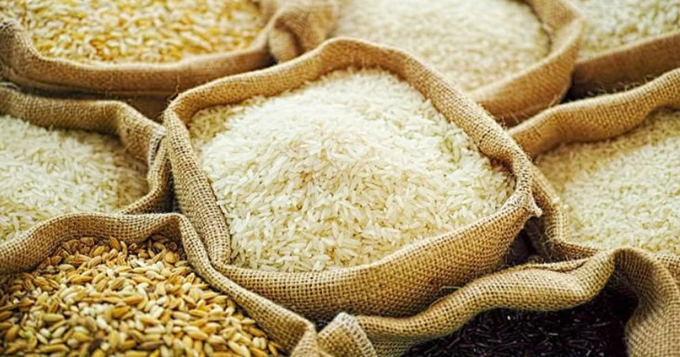 धान-चामल आयातमा ११ महिनामै करीब ३९ अर्व विदेशीयो, अझैं १० लाख मेट्रिक टन धान अपुग