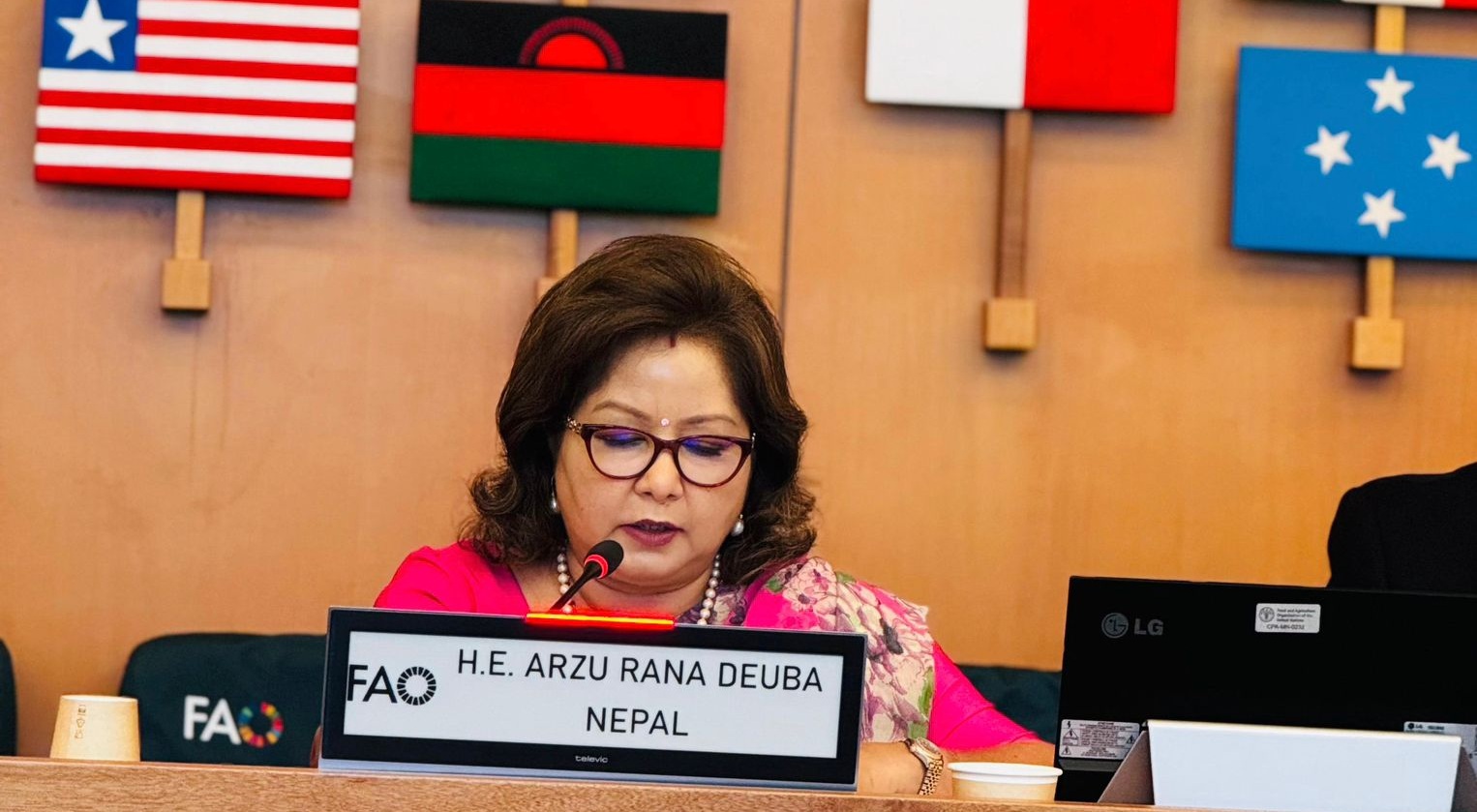 नेपालले खाद्य अधिकारलाई मौलिक अधिकार मानेको छ : परराष्ट्रमन्त्री