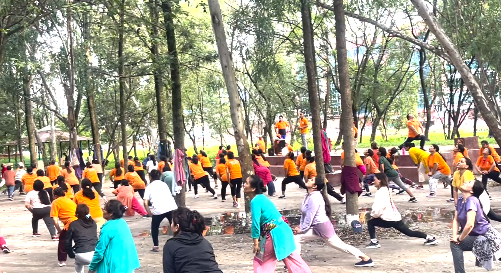 यूएन पार्क : खुल्ला आकाशमुनि योग गर्ने अब्बल जक्सन