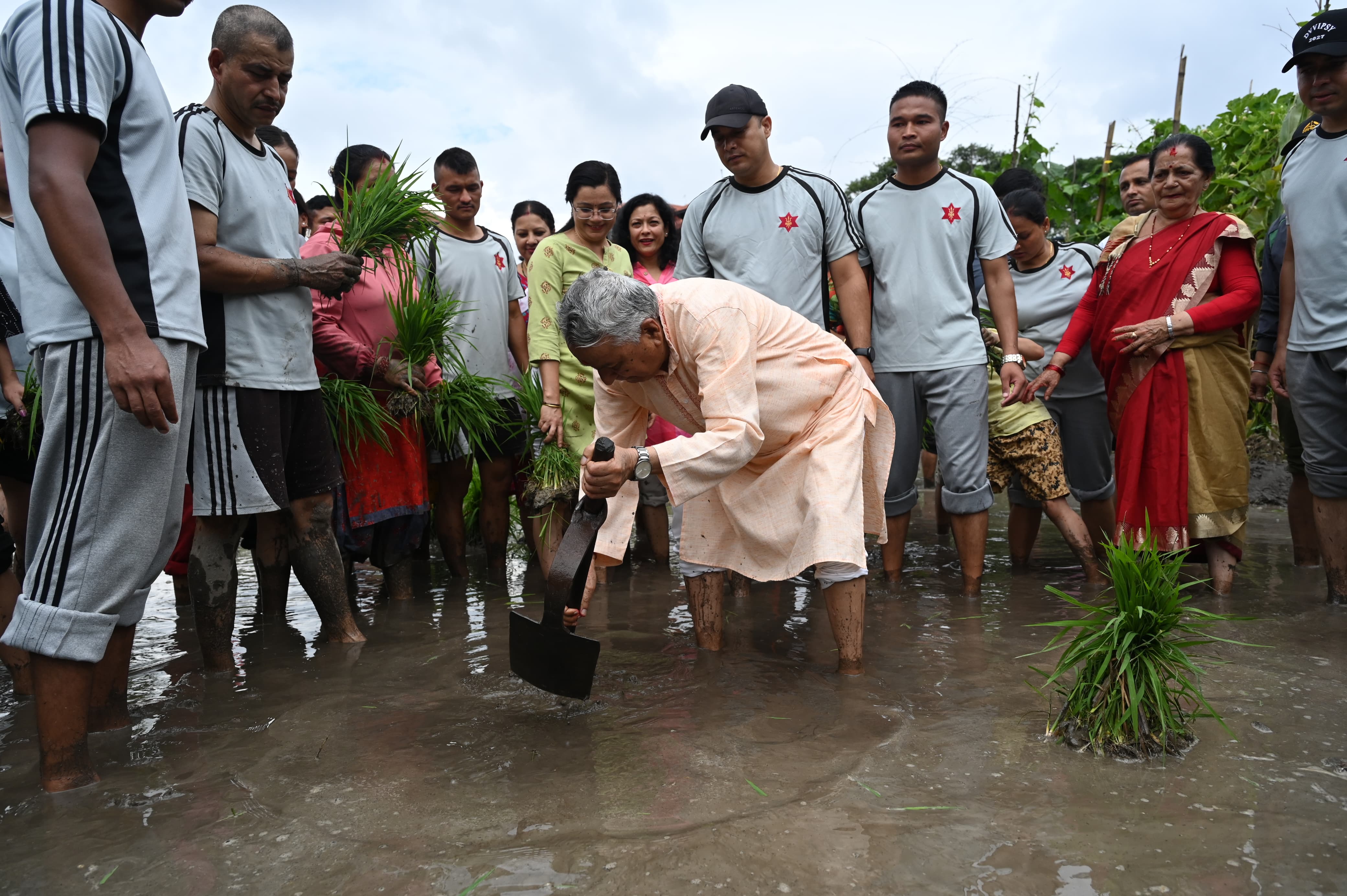 राष्ट्रपति पौडेल धान रोपाईँमा सहभागी (तस्बिर)