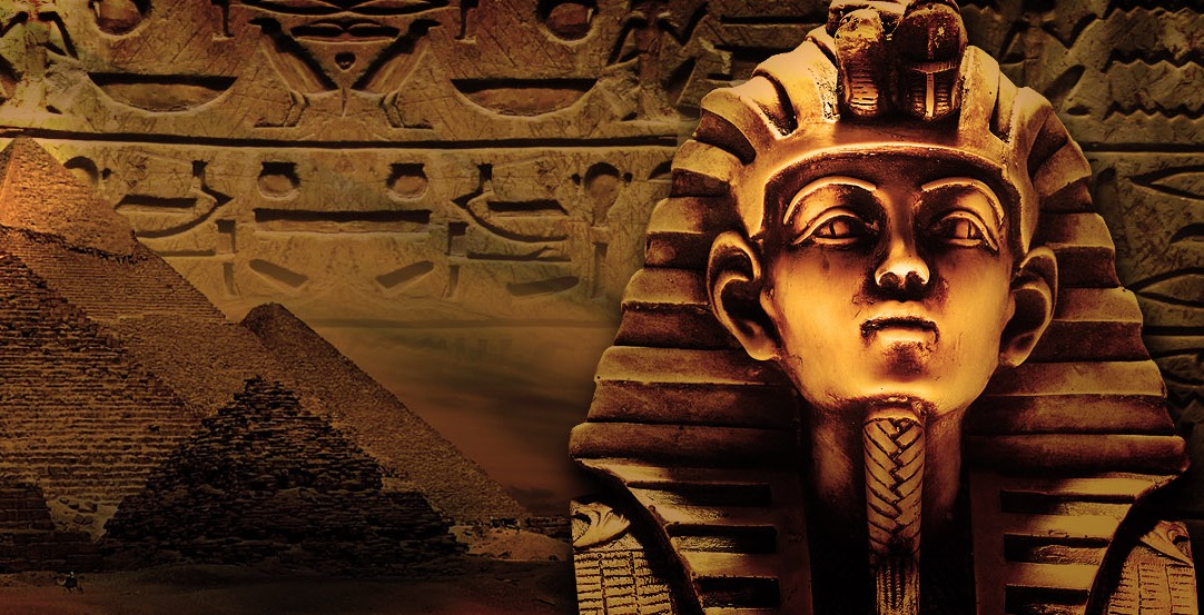 १० वैज्ञानिकको ज्यान लिएको ‘श्रापित’ चिहानको ढुसीले क्यान्सरको उपचार हुने