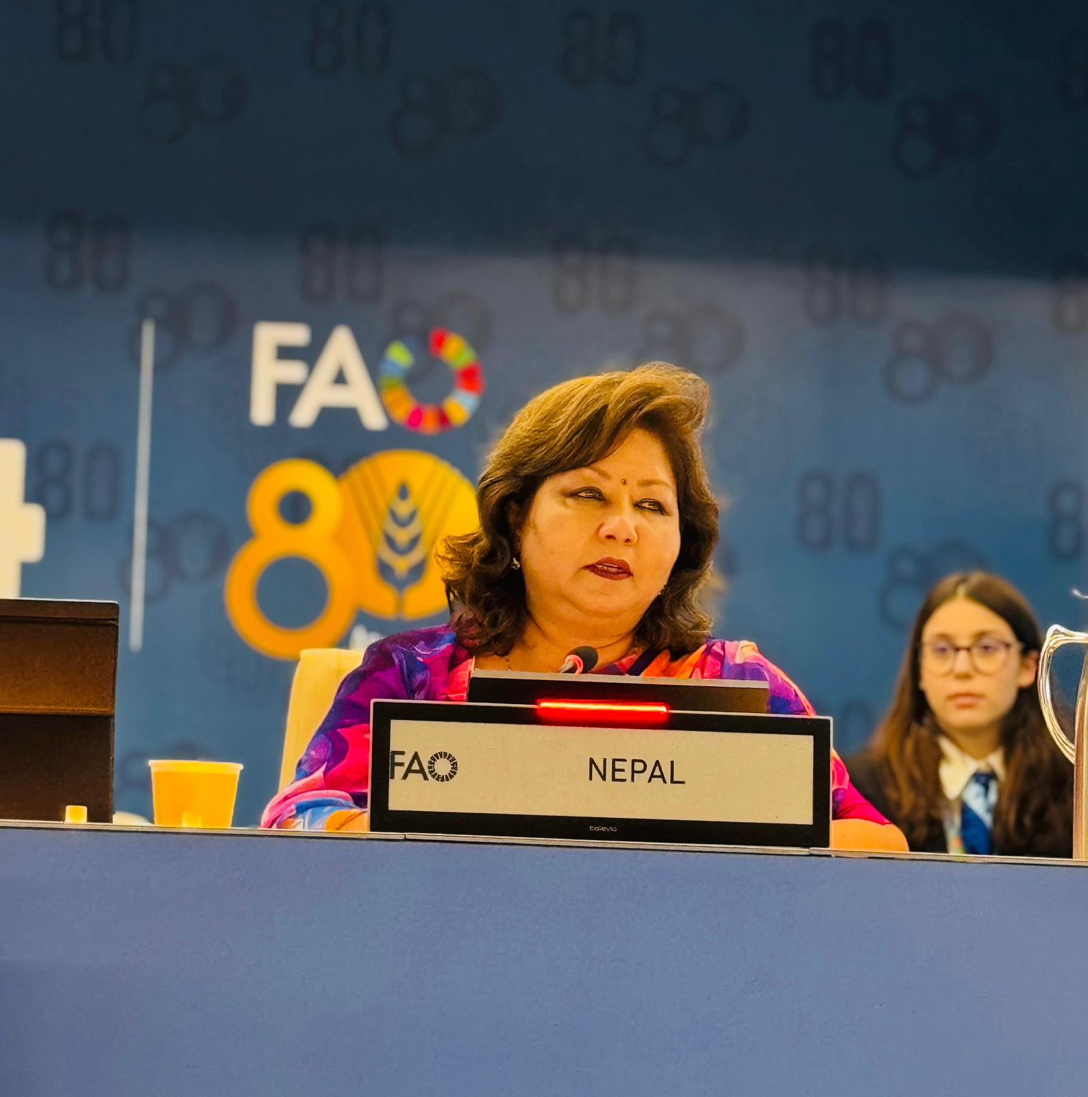 विश्व समुदायलाई परराष्ट्रमन्त्रीको आह्वान: जलवायुजन्य जोखिम घटाउन बलियो सहकार्य आवश्यक छ