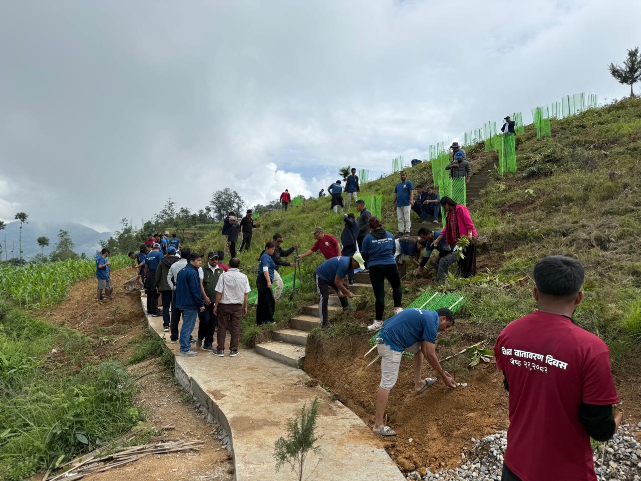 किसानको आयआर्जन बढाउन बिरुवा वितरण