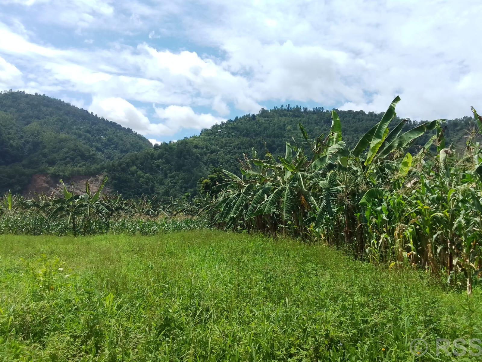 केरा गाउँ ‘बाँस्टारी’