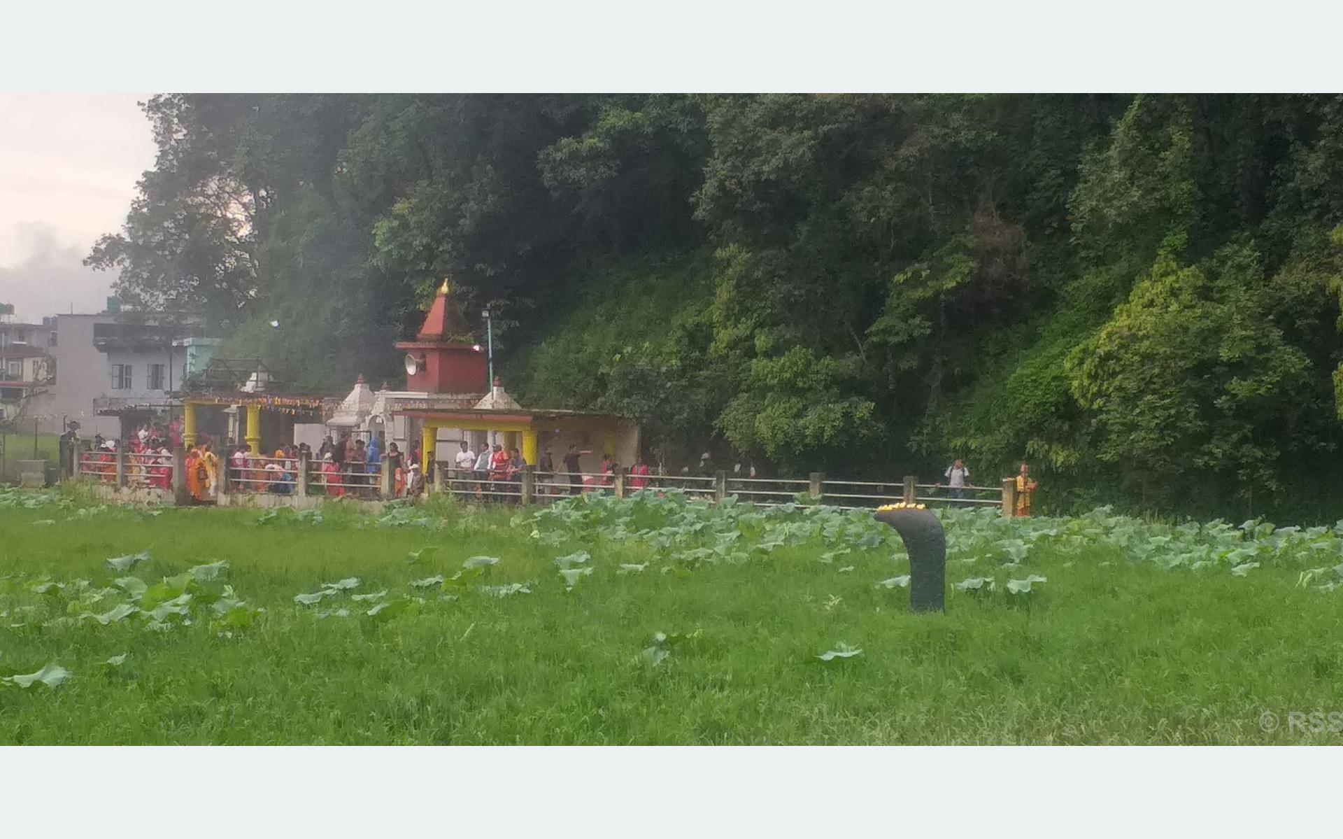 नाग दोषबाट मुक्ति मिल्ने विश्वासको तीर्थस्थल कमलपोखरी