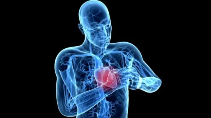 पालैपालो १८ जना युवाको मृत्यु, सबै हृदयाघातबाट मरेको पाइएपछि अनुसन्धानको आदेश