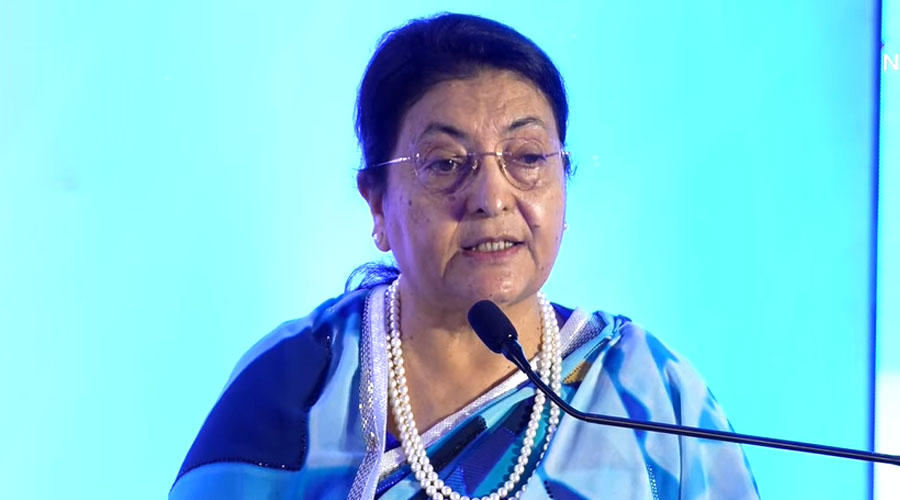 लगानीको वातावरण बनाउन राजनीतिक स्थायित्व र विश्वासको वातावरण आवश्यकः पूर्वराष्ट्रपति भण्डारी