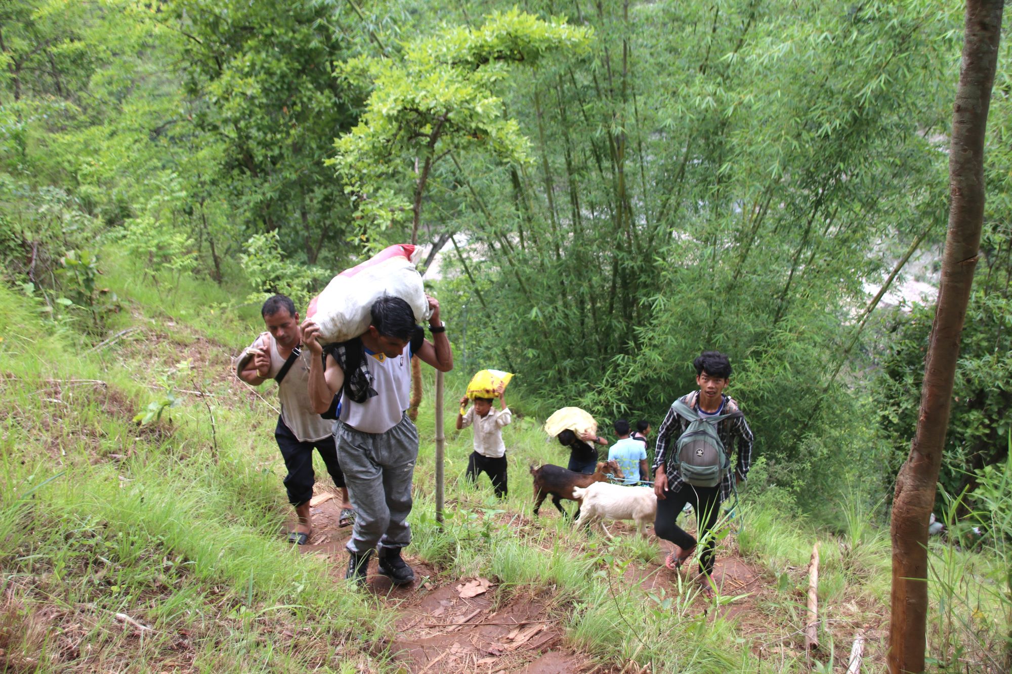 हेंवाखोला बाढी तीनवर्ष : हटेन सास्ती