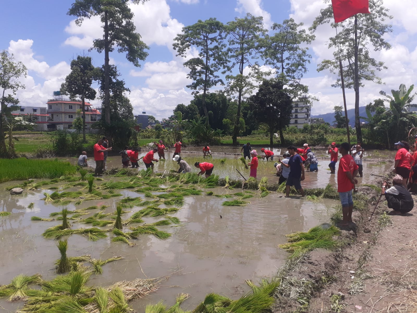 पोखरामा विप्लव नेतृत्वको नेकपाले आयोजना गर्‍यो रोपाइँ महोत्सव