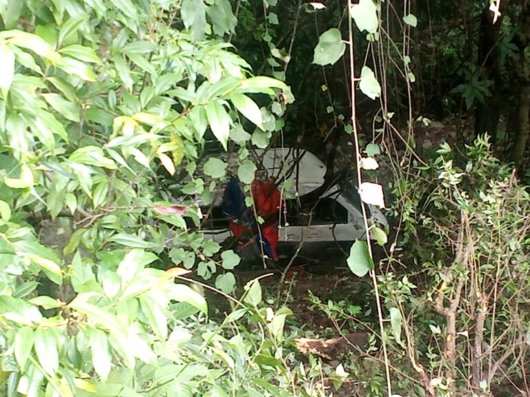 हेटौंडाबाट काठमाडौंतर्फ जाँदै गरेको इभी गाडी इन्द्रसरोवरमा दुर्घटना, पाँच जना घाइते