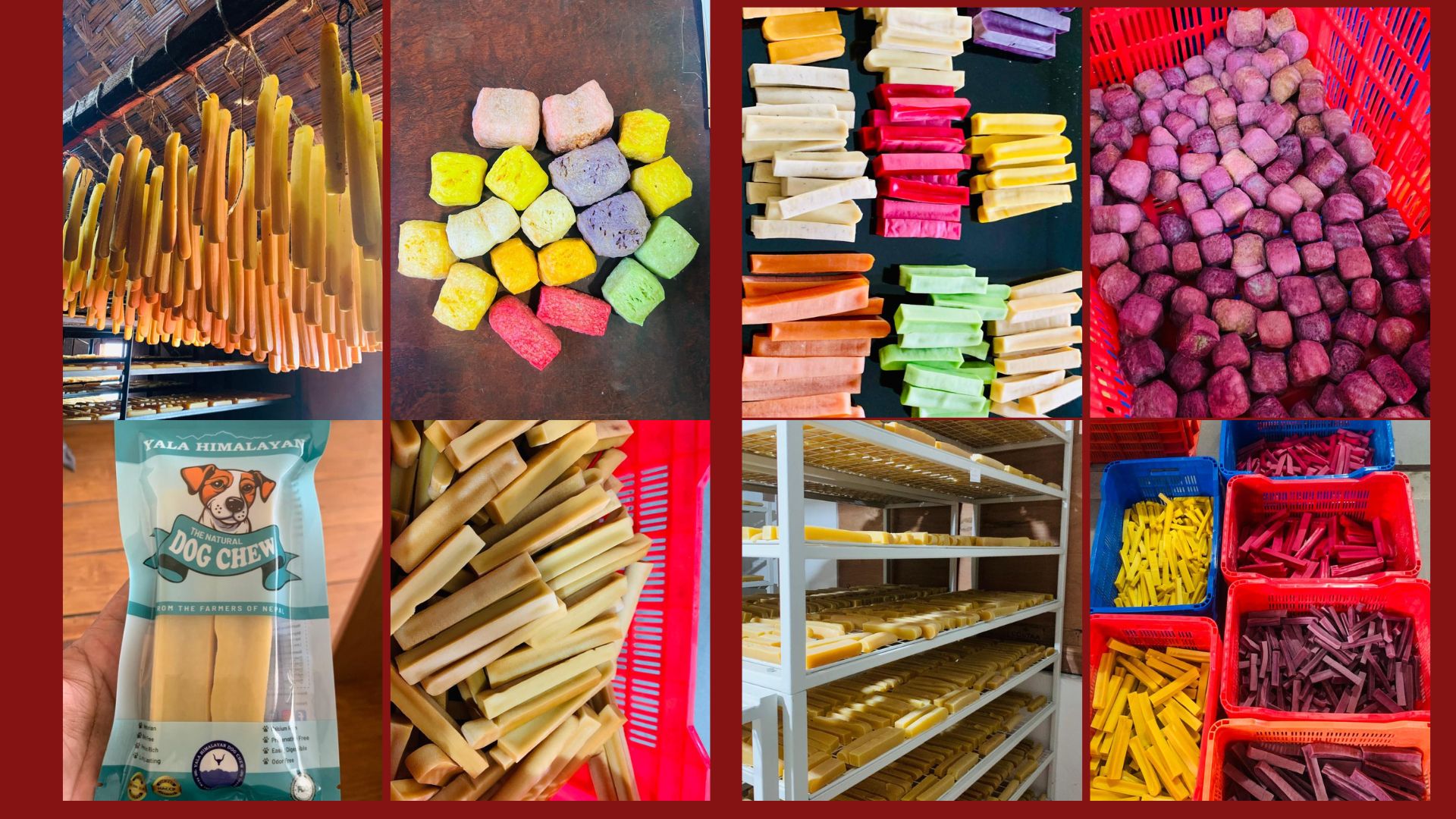 अमेरिकी बजारमा लोकप्रिय बन्न थाल्यो ‘याला हिमालयन डग चियु’