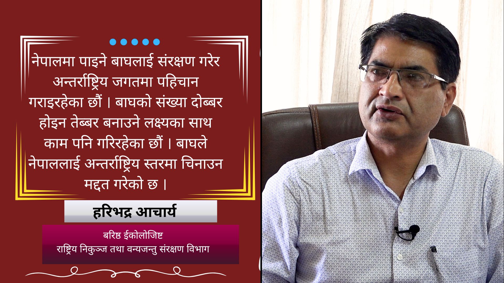 नेपालमा बाघको संख्या दोब्बर होइन, तेब्बर बनाउने लक्ष्य