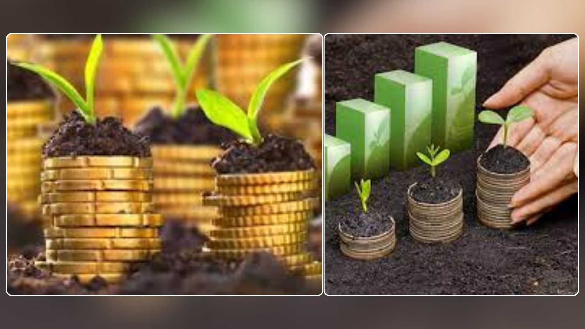 क्षेत्रगत कृषि कर्जा ३.३४ प्रतिशतले वृद्धि