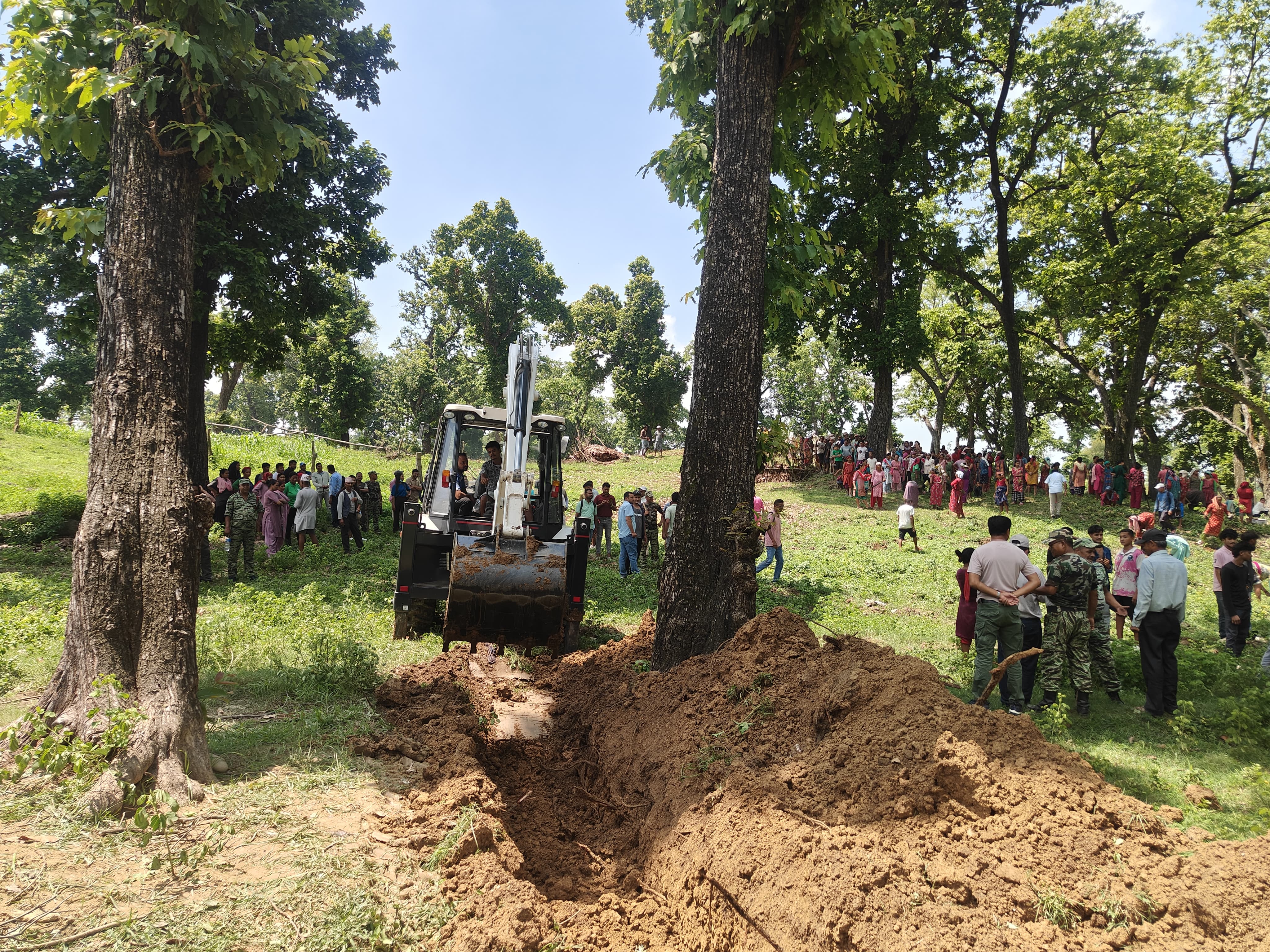 अतिक्रमित वन क्षेत्र खाली गराई वृक्षरोपण