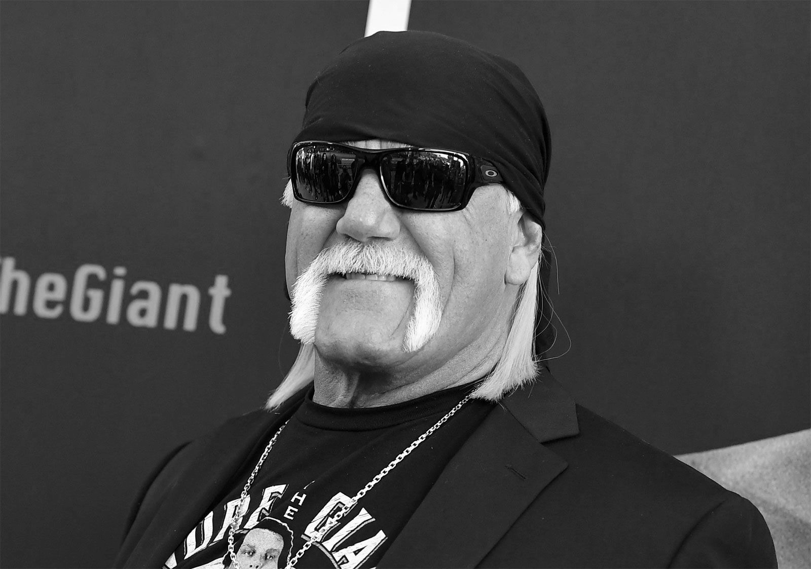 डब्लुडब्लुई सुपरस्टार हल्क होगनको ७१ वर्षको उमेरमा निधन